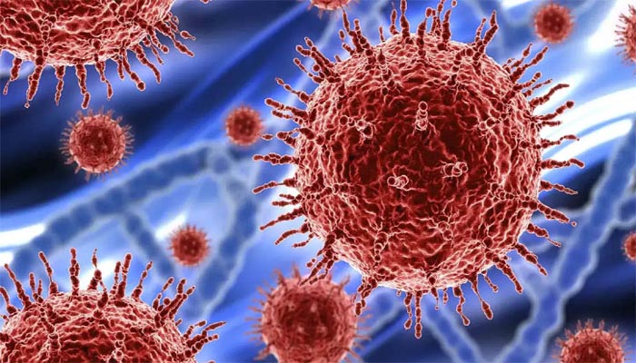 দেশে গত ২৪ ঘণ্টায় আরও ১৩ জনের করোনা শনাক্ত