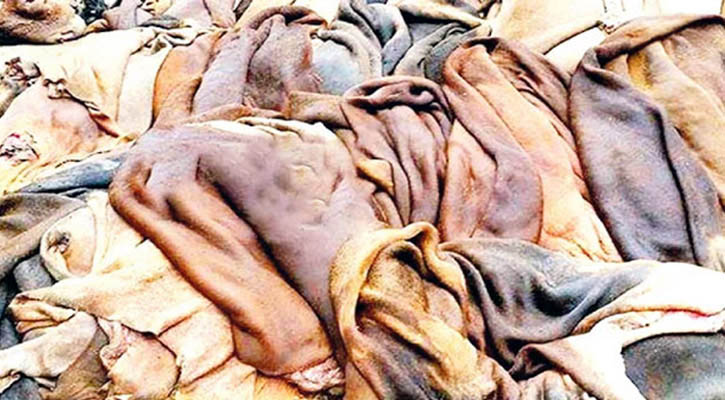 কোরবানির পশুর চামড়া প্রসঙ্গে ইসলামের বিধান