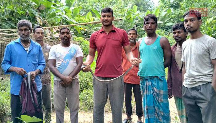 প্রাণে বেঁচে গেল ‘দুধরাজ’ সাপ